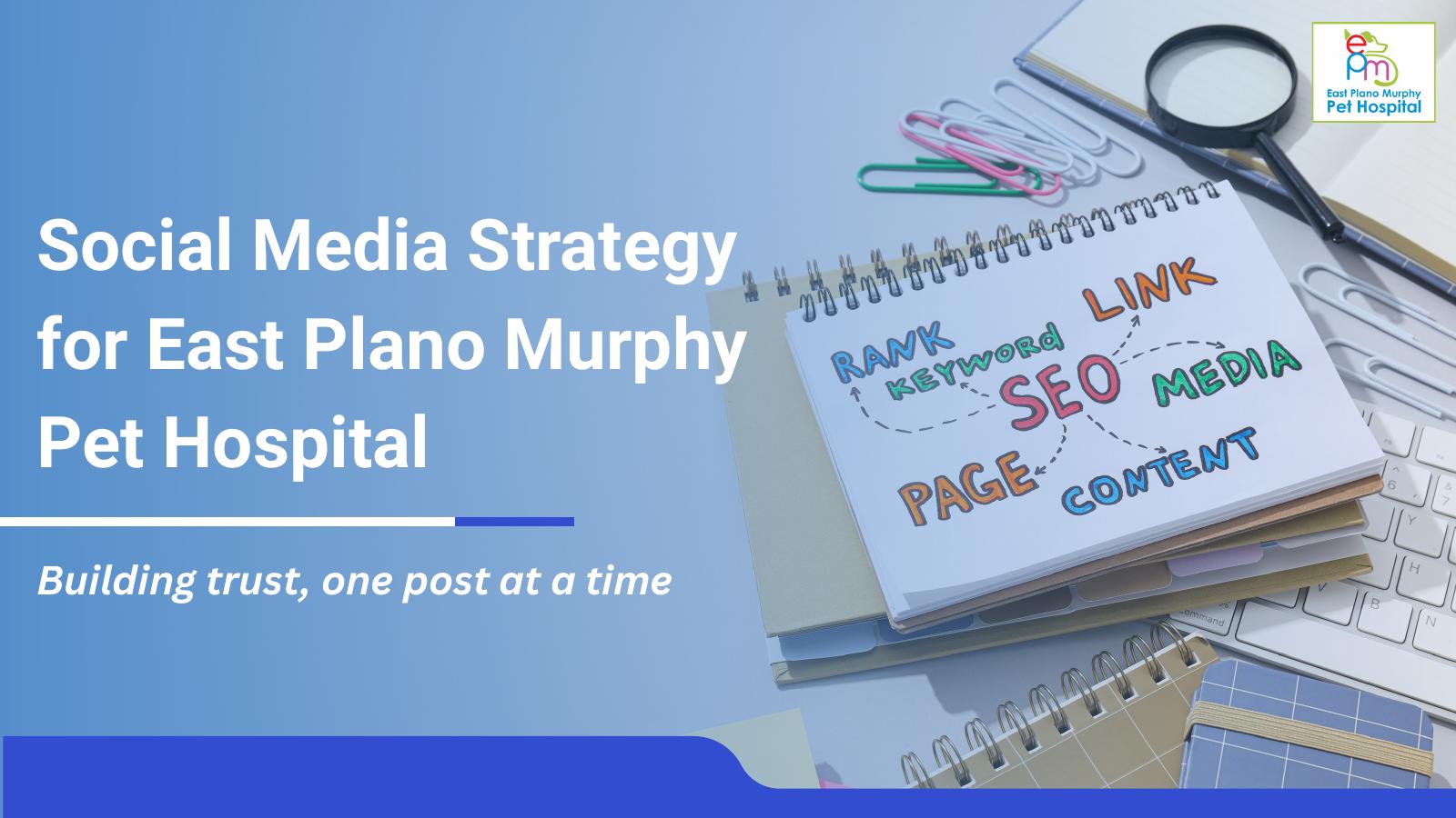 East Plano Murphy Pet Hospital Strategy